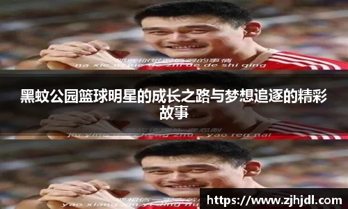 黑蚊公园篮球明星的成长之路与梦想追逐的精彩故事